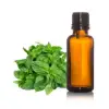 Basil Oil